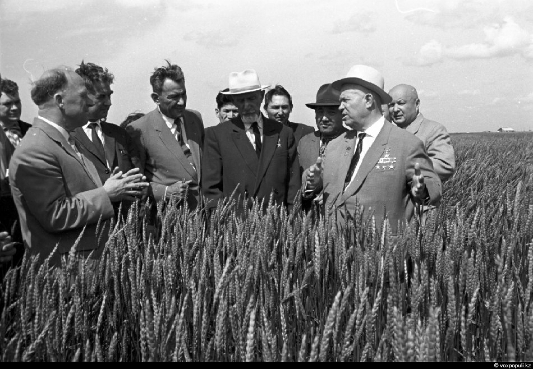 Освоение целины период. Хрущев сельское хозяйство Целина. Целина 1954 Хрущев. Освоение целины Хрущев в Казахстане.